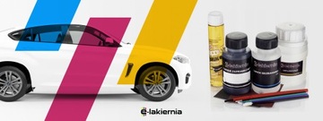 АВТОМОБИЛЬНЫЙ СПРЕЙ ДЛЯ ПОДРАЖЕНИЯ КРАСКИ НАБОР ДЛЯ УДАЛЕНИЯ РОЖЖИНЫ