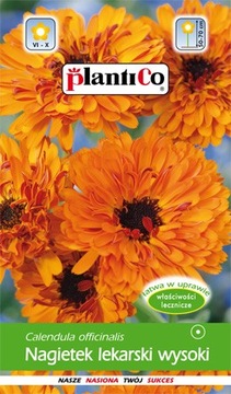 PlantiCo Nagietek lekarski wysoki pomarańczowy 2g