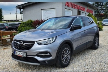 Opel 2020 Opel Grandland X Tylko 66.ooo km Kamera Navi MOZLIWA ZAMIANA 1.2 Benzyna