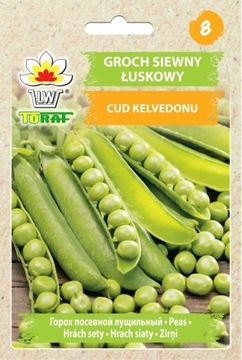 Groch siewny łuskowy Cud Kelvedonu 50g TORAF