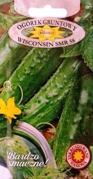 Nasiona ogórek gruntowy Wisconsin SMR58 5g