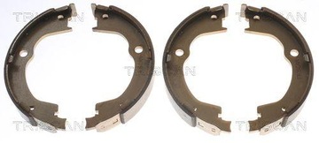 Triscan 8100 24003 Szczęki hamulcowe Chevrolet CAPTIVA ANTARA A tył