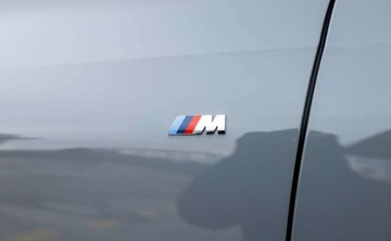 BMW X6 G06 2025 BMW X6 xDrive30d, Panorama, Pneumatyka, Hak, Pakiet Innowacji, 22 Cale 3.0, zdjęcie 12