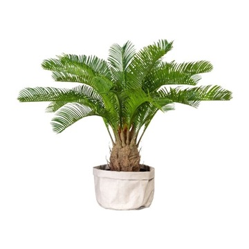 sztuczna palma wysokiej jakości Cycas 60cm cykas