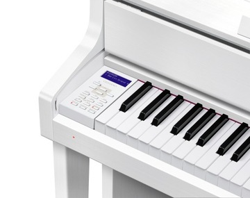 CASIO GP-310 МЫ + СКАМЬЯ