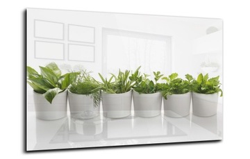 panel między meble do kuchni 90x55 zioła