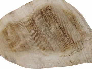 Нашивка из тополя 75х57см Большой выбор Большие размеры