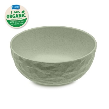 Клубная органическая зеленая миска
