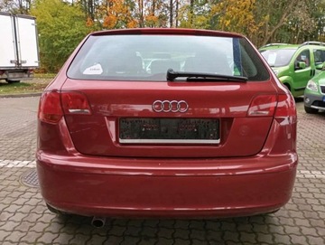 Audi A3 8P Hatchback 3d 1.6 FSI 115KM 2007 Audi A3 Sportback 1.6 benzyna CLIMATRONIC PIEKNY kolor bez rdzy 1.6 115KM, zdjęcie 14