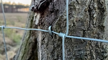 СЕТКА ДЛЯ ЗАБОРА ЛЕСНАЯ 120/9/30 L - рулон 50 м - поля, сады, лесное строительство