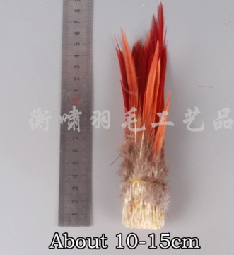 10 sztuk pióra bażant 12-20cm FARBOWANE NATURALNE