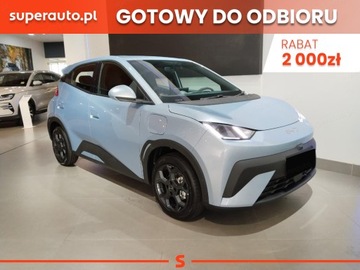 BYD 2025 BYD Dolphin Surf Boost Hatchback (88 KM) 2025