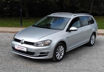 Volkswagen Golf VII Variant 1.6 TDI BlueMotion  110KM 2015 Volkswagen Golf 1,6 Tdi Navi Alufelgi Klimatronik Po oplatach z Niemi, zdjęcie 17