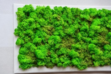 Мох CHROBOTEK, яркий, насыщенный зеленый, деревянная рама