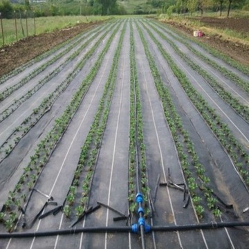 АГРО ТКАНЬ ПОМЕТРОВАЯ АГРО НЕТКАНАЯ ширина 3,20 м 90 г/м2 УФ плотная прочная