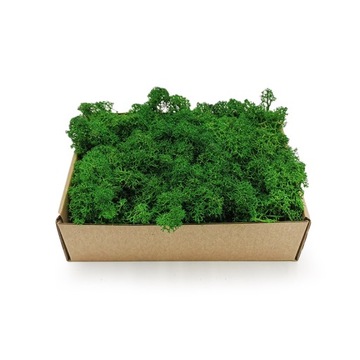 Mech Chrobotek - Alpejski - Oczyszczony - Zielony 50g NETTO