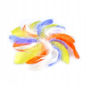 Piórka dekoracyjne różne kolory
