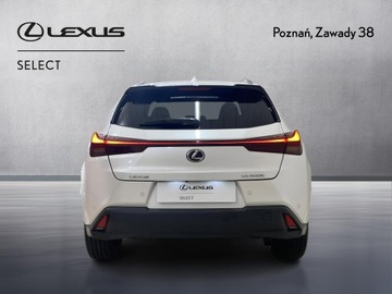 Lexus UX 2025 Lexus UX 300h Omotenashi Lexus UX 300h Omotenashi,, zdjęcie 3