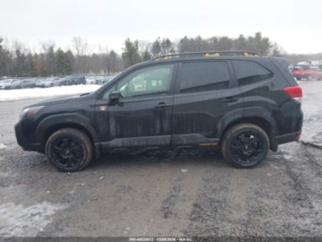 Subaru Forester VI 2024 Subaru Forester Wilderness 2024 2.5 Benzyna 182KM, zdjęcie 1