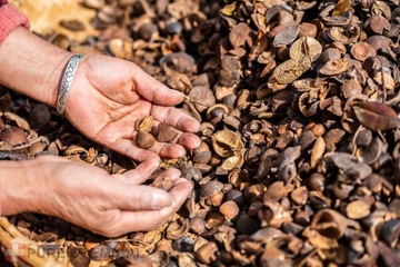МАСЛО КАМЕЛИИ НЕРАФИНИРОВАННОЕ ХОЛОДНОГО ОТЖИМА 100мл