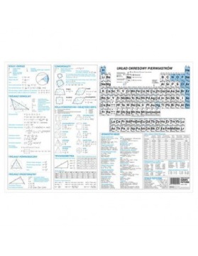 ОБУЧАЮЩИЙ КОВРИК 49,5 x 34,5 см - WORLD PETTERNS