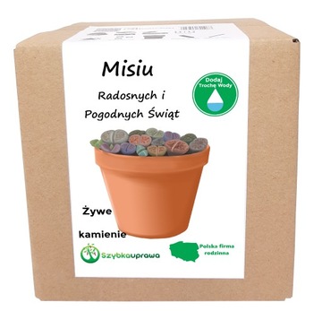 ŚWIĄTECZNY PREZENT DLA MISIA KPL ŻYWE KAMIENIE