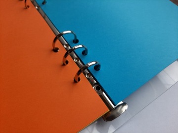 ЦВЕТНАЯ вставка в блокнот-планировщик 6 А5 INTENSIV RINGS