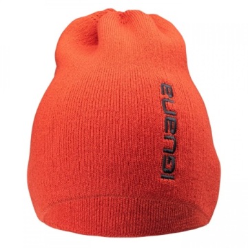 Zimowa czapka męska ASPAR