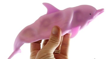 DELFIN GNIOTEK SQUISHY MIĘKKI FIDGET TOY-S 17cm