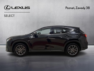 Lexus NX II SUV 350h 242KM 2022 Lexus NX 350h Business AWD II (2021-) Lexus NX 350, zdjęcie 4