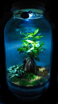 Микроклимат Лес в банке со светодиодной подсветкой, высота 42 см.