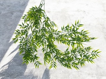 RUSKUS ZWISAJĄCA GĘSTA ZIELONA ROŚLINA 75cm DEKORACJA ZWIS ŚLUB WESELE