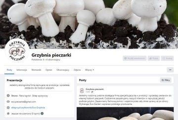 Мицелий грибов XXL 3 фазы