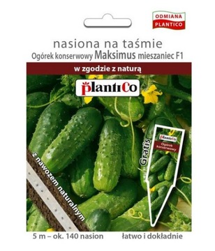 Ogórek Maksimus F1 WCZESNY ogórki na TAŚMIE 5m