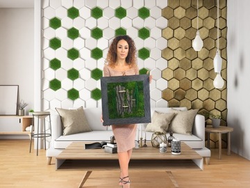 Moss of Chrobotek Finnish 500G Gross Gross Green Decorative Decorative Curatified