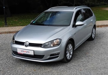 Volkswagen Golf VII Variant 1.6 TDI BlueMotion  110KM 2015 Volkswagen Golf 1,6 Tdi Navi Alufelgi Klimatronik Po oplatach z Niemi, zdjęcie 24