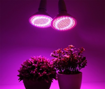 Светодиодная лампа для выращивания растений