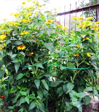 ПЕРГОЛА САДОВАЯ ОПОРА ДЛЯ ЦВЕТОЧНЫХ РАСТЕНИЙ 115 СМ