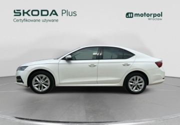 Skoda Octavia IV Liftback 2.0 TDI 115KM 2022 Skoda Octavia Nowy ROZRZAD, OPONY, Podgrzewane 4 fotele, Tempomat, Kamera,, zdjęcie 2