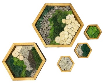 Картина из мха и дерева с оборками, набор украшений