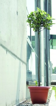 DONICZKA DONICA TERRA DUŻA 20L ŚR: 40CM ANTRACYT