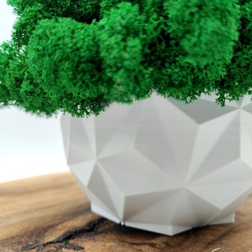 Вазон с мхом хроботек CHROBOTEK MOSS в белом горшке, 3D принт №2