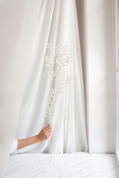 RUSKUS BIELONY RUSZCZYK do wazonu RUSCUS suszony