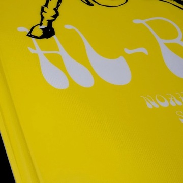 Вейкборд Hyperlite Riot Bio — в ассортименте