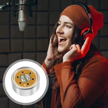 Микрофон на гибкой стойке с микрофонным сердечником и шумоподавлением