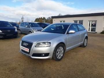 Audi A3 8P Hatchback 3d 1.6 102KM 2010 Audi A3 1.6 MPI 102 KM KLIMA, ELEKTRYKA