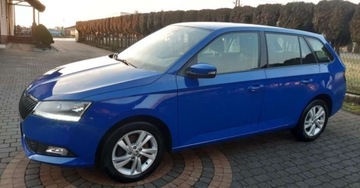 Skoda Fabia III Kombi Facelifting 1.0 TSI 110KM 2019 Skoda Fabia Skoda Fabia 1.0 TSI Ambition, zdjęcie 11