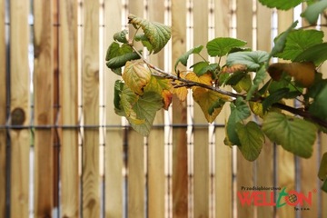 Обшивка панелей 160х250 деревянными планками