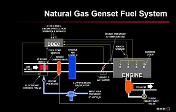 DETROIT DIESEL-Двигатели-Руководства по ремонту-Схемы