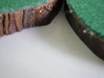 блюдца подставки ствол древесины ручная работа